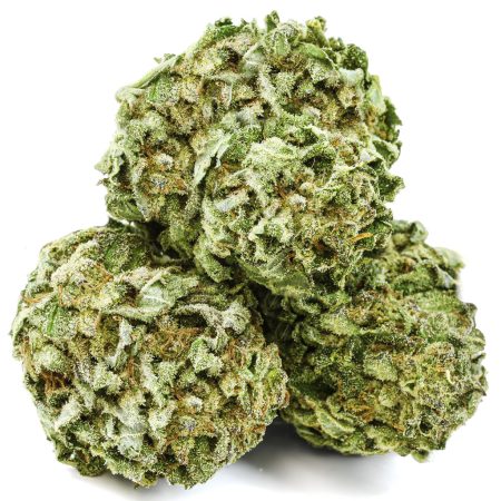 PINK ZOMBIE KUSH