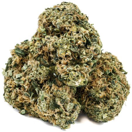 GORILLA CRASHERZ