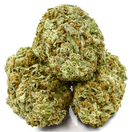 BISCOTTI GELATO