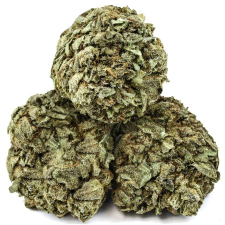 CHERRY COLA KUSH
