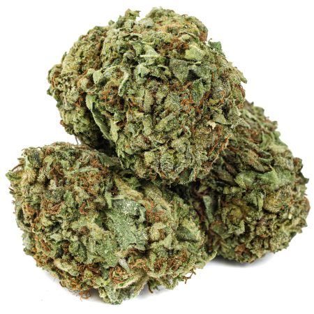 MENDO PINK