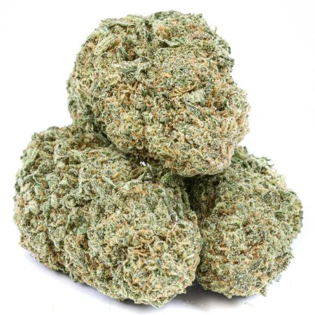 PINEAPPLE AMNESIA