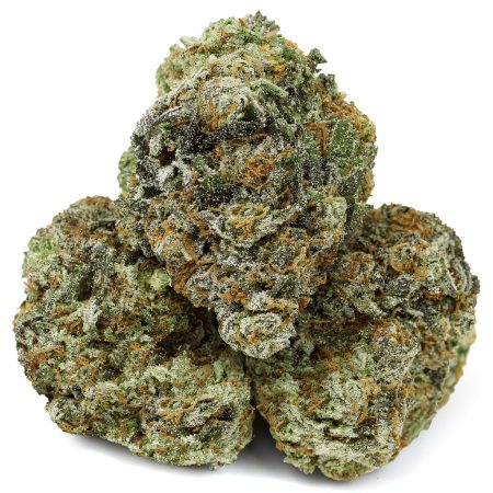 GORILLA GELATO