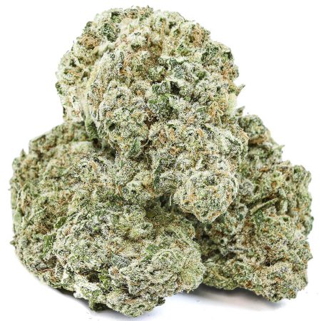 PINK DANK SCHRADER