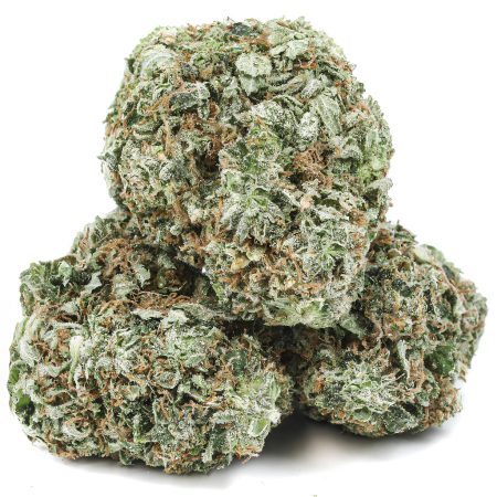 PINK DEATH COMA *SUPER EXOTICS*