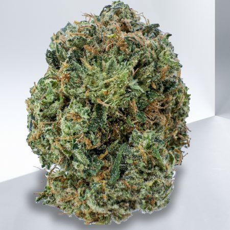 TOM FORD BUBBA KUSH