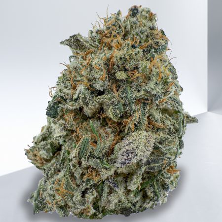 GIRL SCOUT CRACK *SUPER EXOTICS*