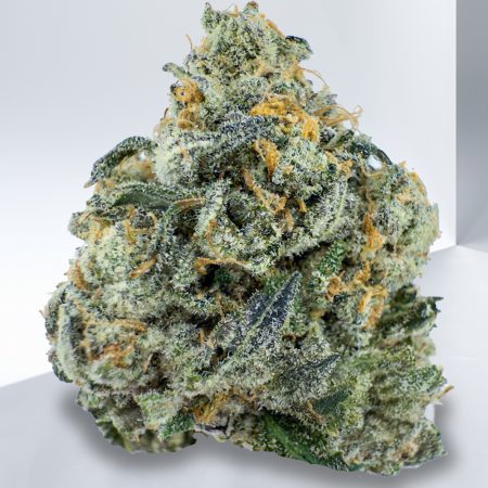 PINK G SHERB