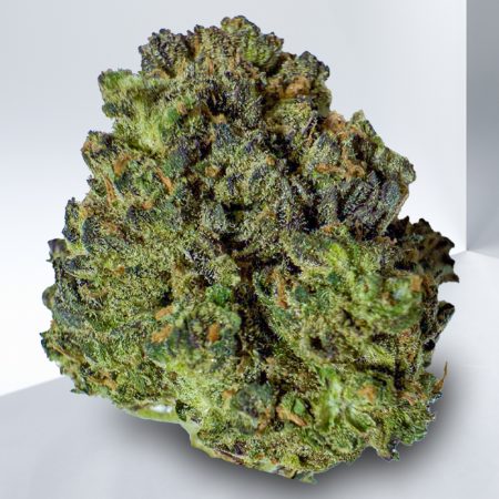 PURPLE URKLE