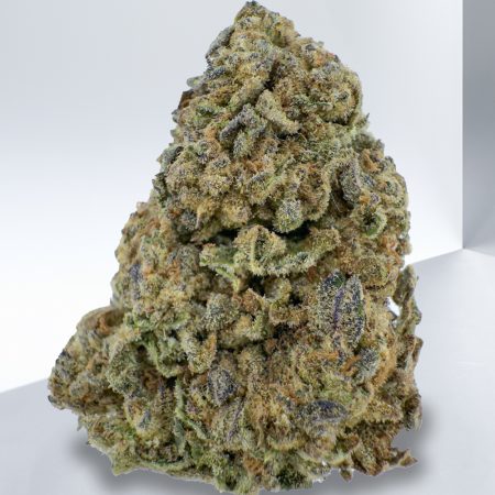MENDO BREATH
